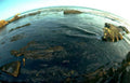 coastal rocks ocean Vintage A4 Photo Print