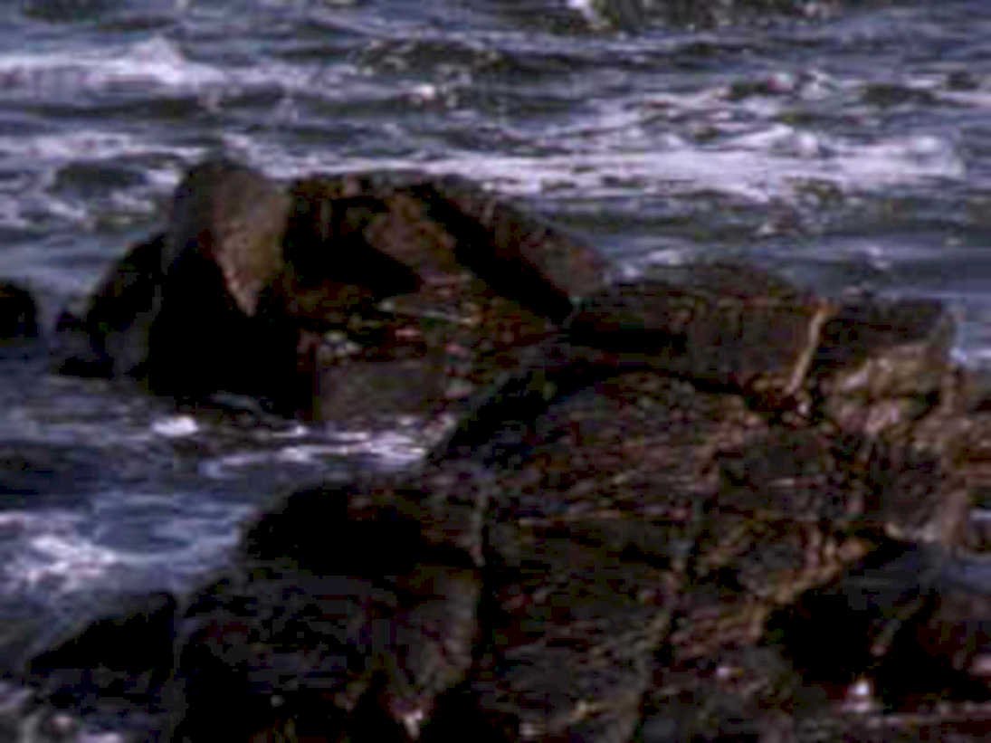 coastal rocks ocean1980s 1990s A4 Photo Print 42