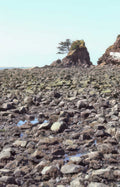 coastal rocks oregon Vintage A4 Photo Print