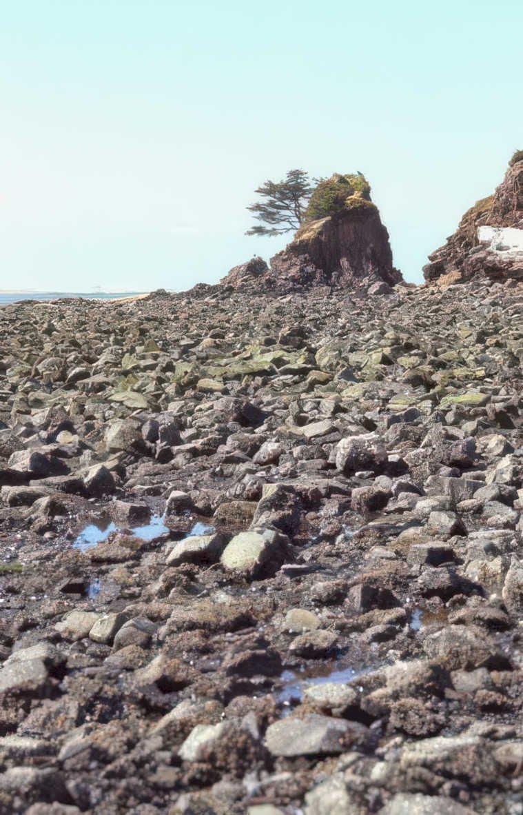 coastal rocks oregon Vintage A4 Photo Print