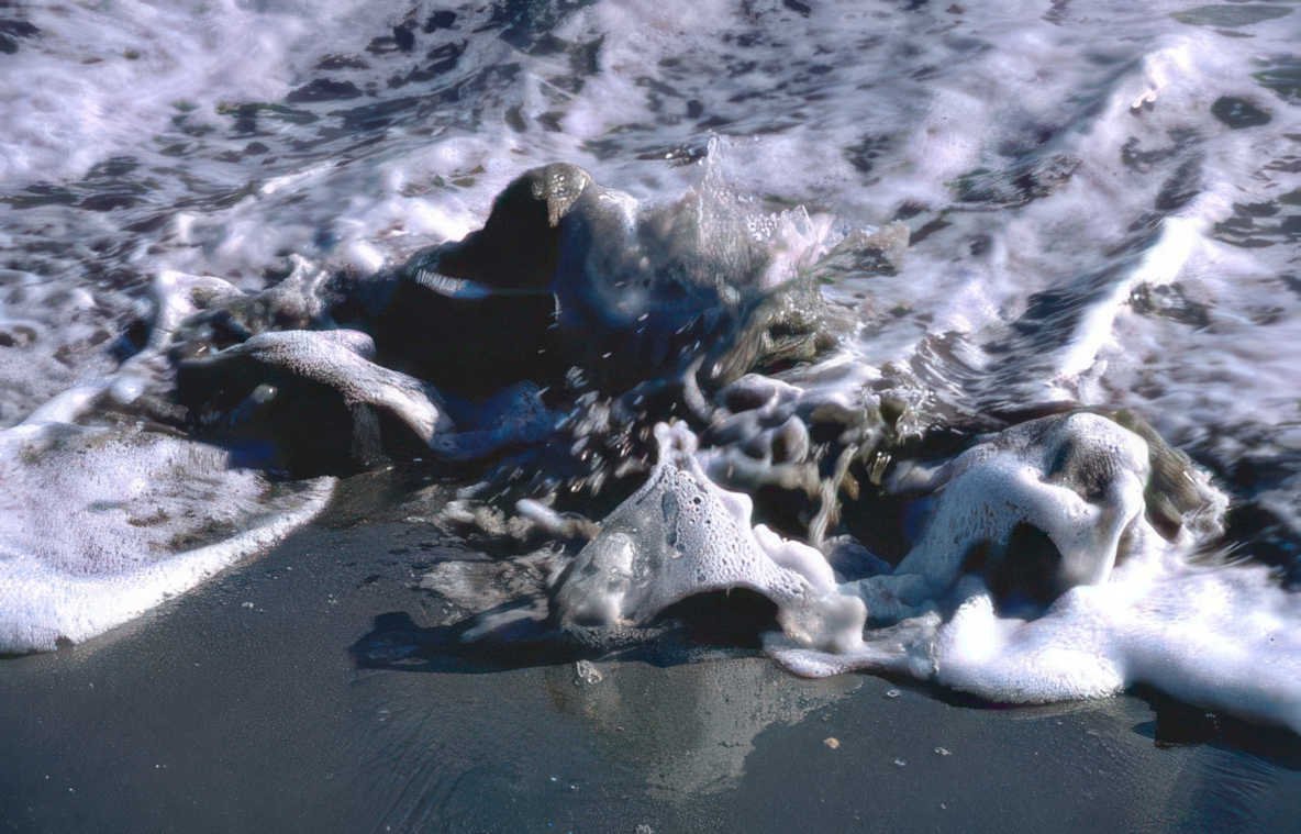 coastal wave action 1 Vintage A4 Photo Print