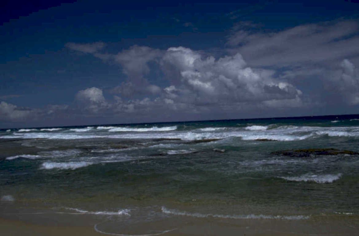 coastal wave beach 1 1980s 1990s A4 Photo Print