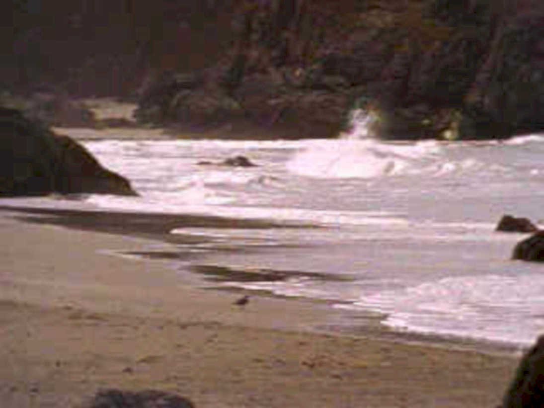 coastal wave beach1980s 1990s A4 Photo Print