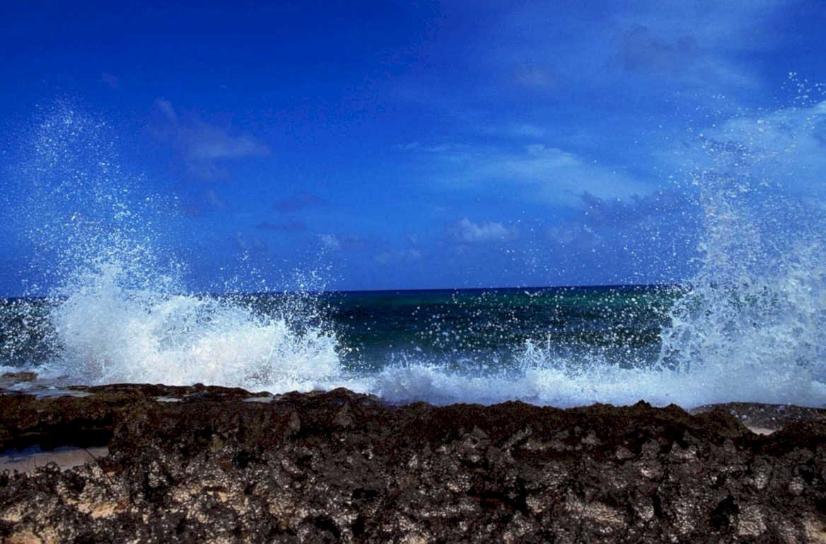 coastal wave hawaii1980s 1990s A4 Photo Print
