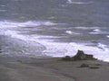 coastal wave pattern1980s 1990s A4 Photo Print