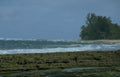 coastal wave rocks 1 Vintage A4 Photo Print