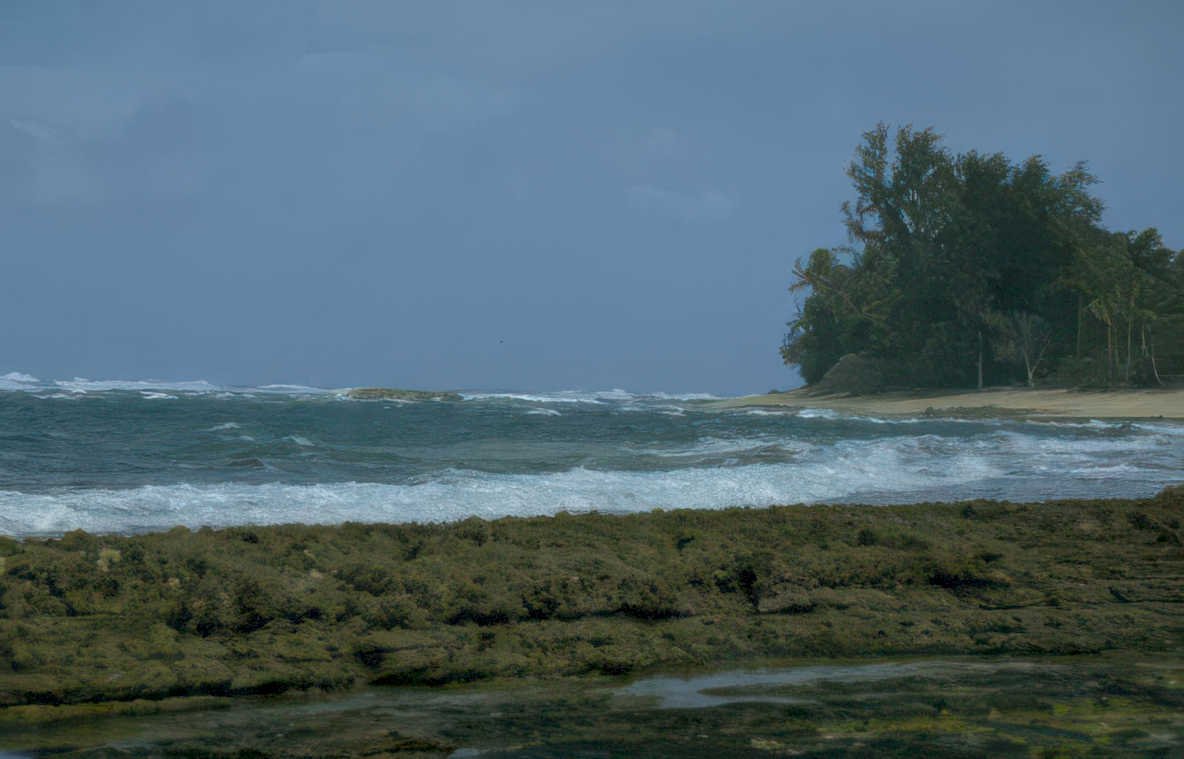 coastal wave rocks 1 Vintage A4 Photo Print
