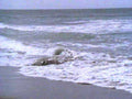 coastal wave rocks 31980s 1990s A4 Photo Print 42