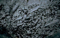 coastallimestone speckled cliff Vintage A4 Photo Print