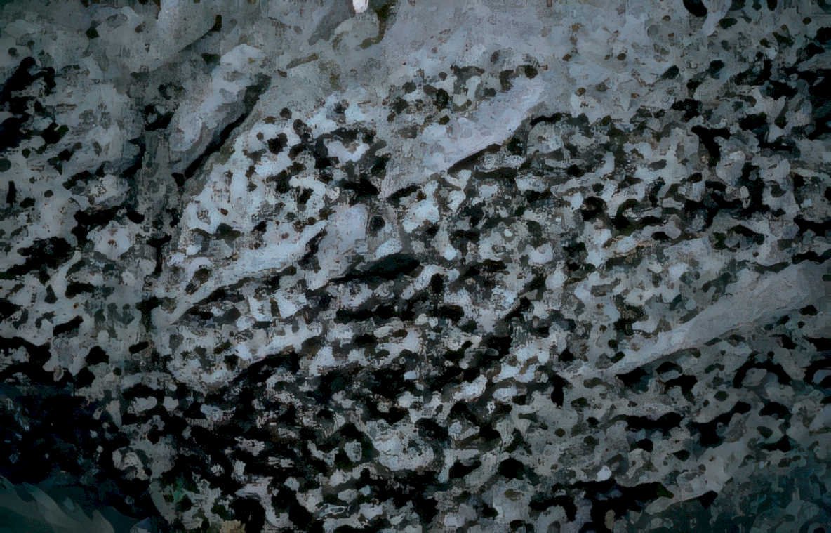 coastallimestone speckled cliff Vintage A4 Photo Print