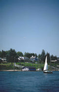 coastline sailing summer Vintage A4 Photo Print