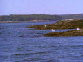 coastline seagulls rocks1980s 1990s A4 Photo Print