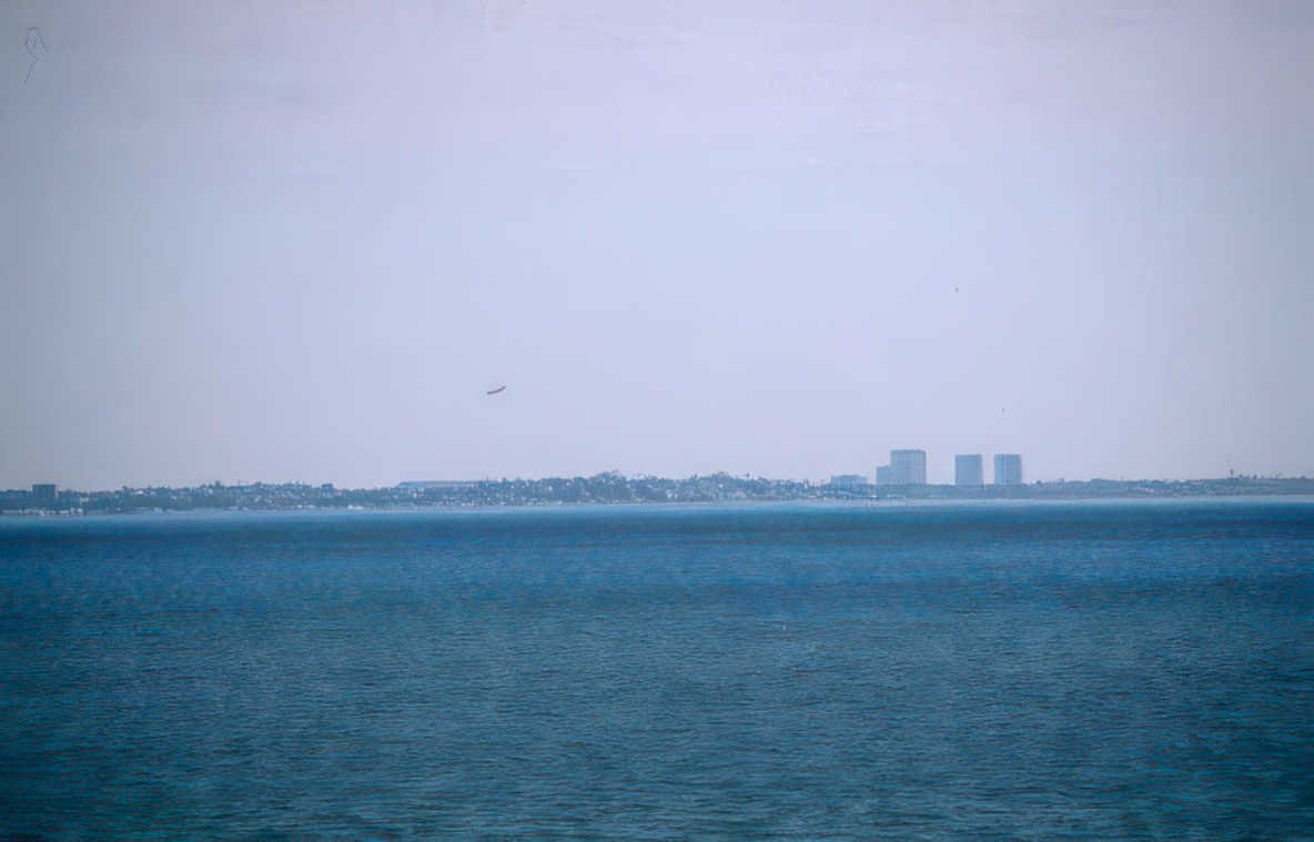 coastline skyline birds Vintage A4 Photo Print