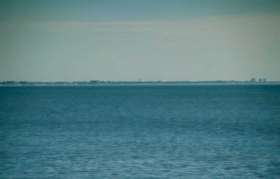 coastline sound birds Vintage A4 Photo Print