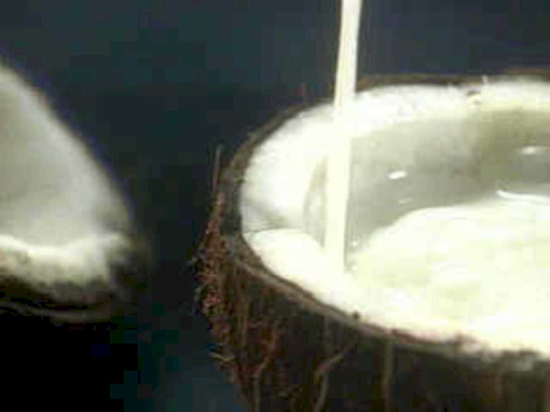 coconut water pour1980s 1990s A4 Photo Print