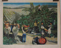 coffee berries Advert A4 Photo Print