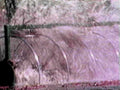 cold frame irrigation1980s 1990s A4 Photo Print