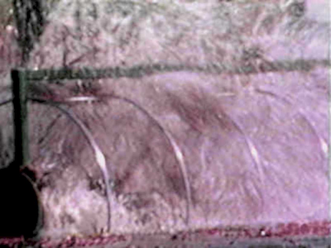 cold frame irrigation1980s 1990s A4 Photo Print