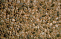 concrete aggregate mix Vintage A4 Photo Print