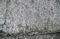 concrete asphalt texture Vintage A4 Photo Print