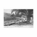 congo brazzaville coffee drying cfco serie z 20 congo brazzaville sechage du cafe ed cfco serie z Vintage A4 Photo Print