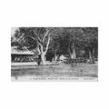 congo brazzaville first view of catechisms guichard 22 congo brazzaville premiere vue des catechismes ed Vintage A4 Photo Print