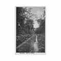 congo brazzaville kinkala road congo brazzaville route de kinkala ed inconnu Vintage A4 Photo Print