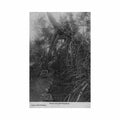 congo brazzaville loango under the mangrove trees marichelle congo brazzaville loango sous les paletuviers Vintage A4 Photo Print