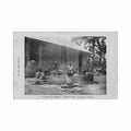 congo brazzaville sechage des haricots ed leray 20 Vintage A4 Photo Print