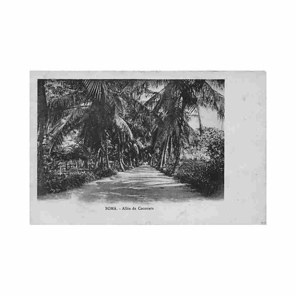 congo kinshasa boma allee de cocotiers ed inconnu Vintage A4 Photo Print