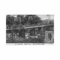 congo kinshasa pont de la lukula dans le mayumbe entier postal 5 centimes ed congo belge 10 Vintage A4 Photo Print