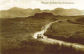 connemara twelve pinsVintage 1880s 1900s A4 Photo Print