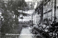 conservatory plants walkwayVintage 1880s 1900s A4 Photo Print
