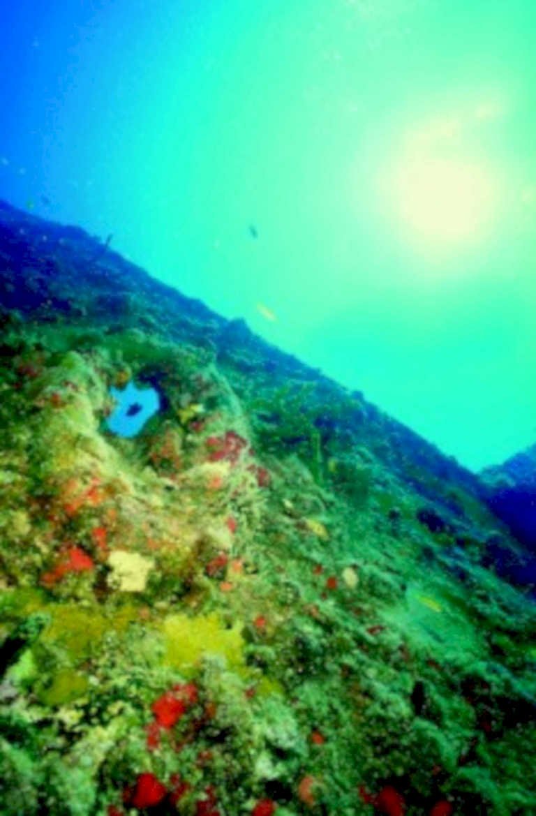 coral reef cave1980s 1990s A4 Photo Print