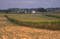 corn fields farmland 1980s 1990s A4 Photo Print