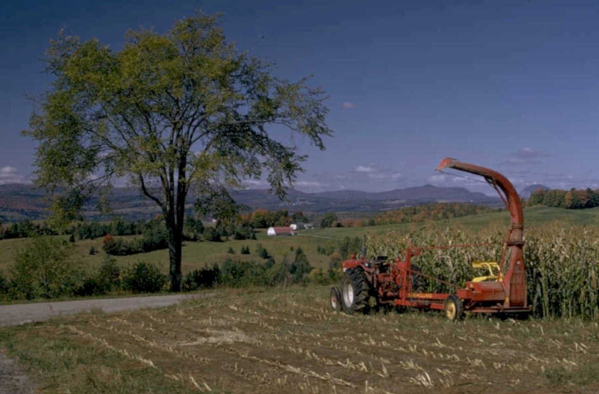 corn tractor harvest 1980s 1990s A4 Photo Print