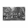 costa rica coffee pickers f gordon Vintage A4 Photo Print