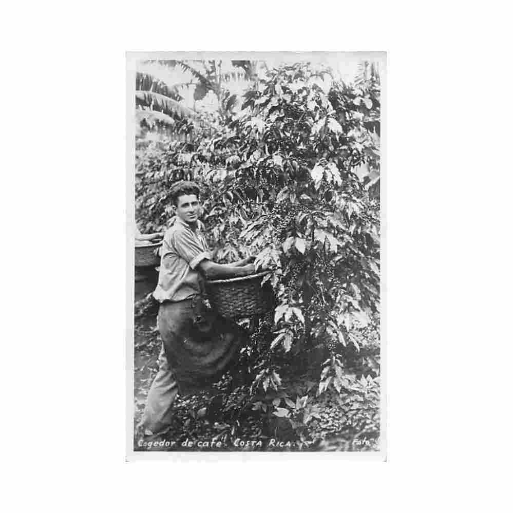 costa rica cogedor de cafe unknwon Vintage A4 Photo Print