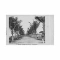 cote d ivoire grand lahou le boulevard ed mmacb 2 Vintage A4 Photo Print