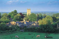 cotswolds church cows UK GB British A4 Photo Print