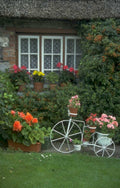 cottage garden bicycle 1980s 1990s A4 Photo Print