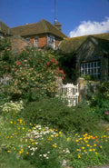 cottage gate roses 1980s 1990s A4 Photo Print