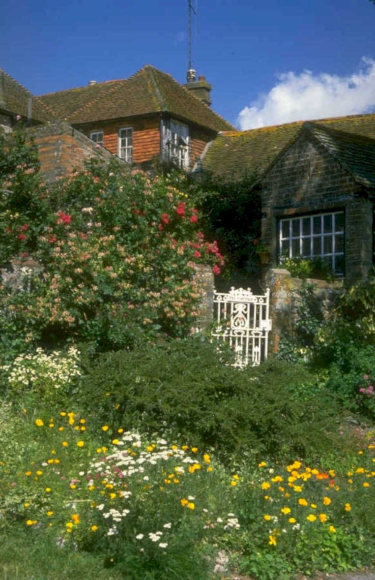 cottage gate roses 1980s 1990s A4 Photo Print