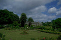 cottage rose garden 1980s 1990s A4 Photo Print