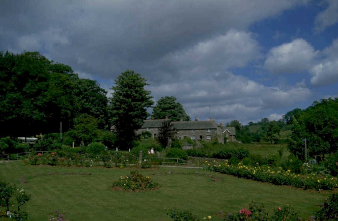 cottage rose garden 1980s 1990s A4 Photo Print