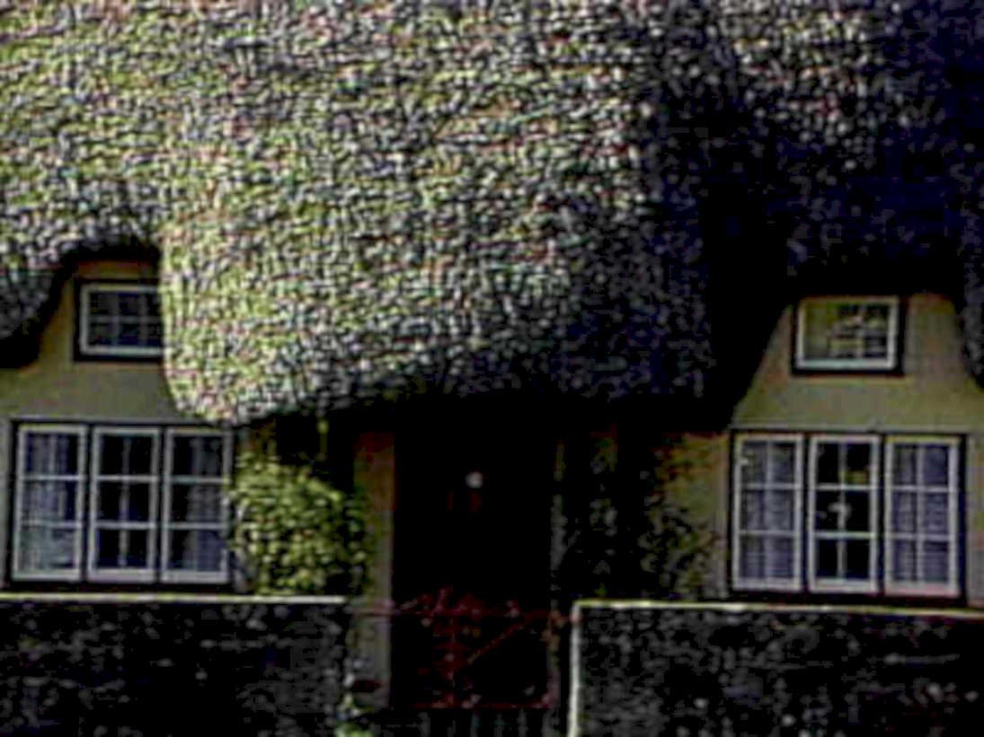 cottage thatched roof1980s 1990s A4 Photo Print