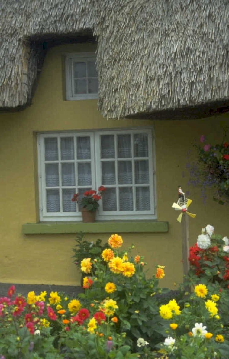 cottage window flowers 1980s 1990s A4 Photo Print
