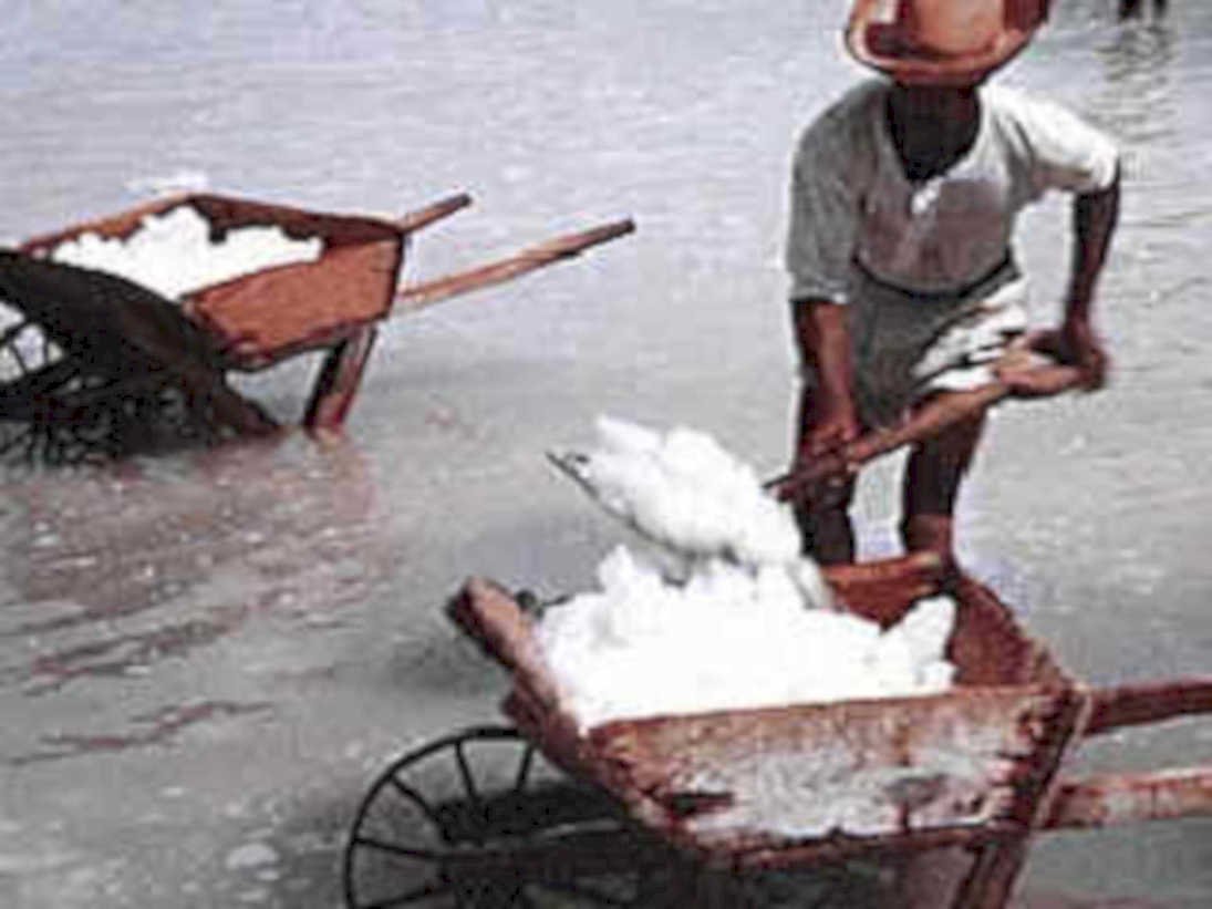 cotton gin flood1980s 1990s A4 Photo Print