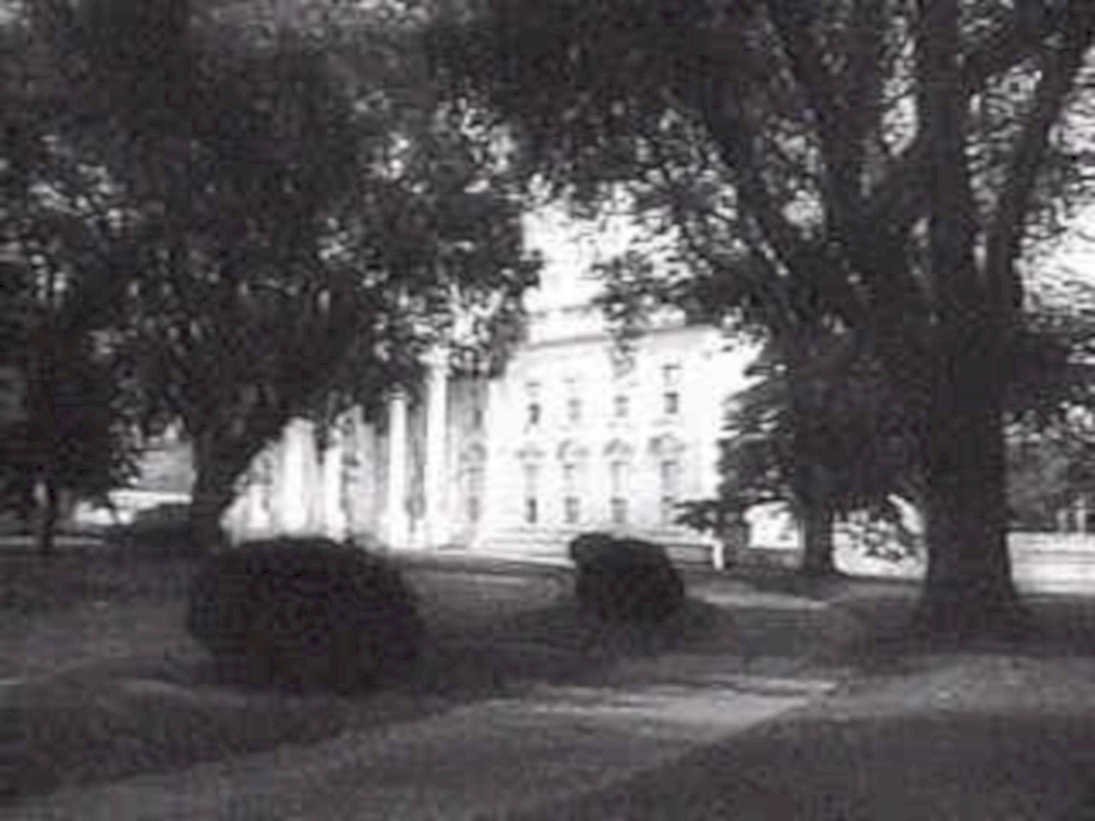 courthouse columns trees1980s 1990s A4 Photo Print