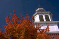 courthouse maple trees 1980s 1990s A4 Photo Print